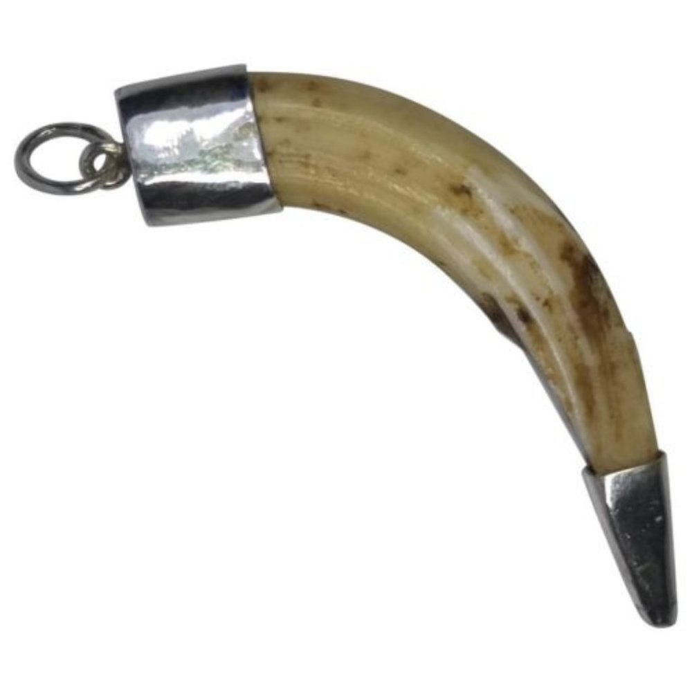 Alberto Juan Mexican Sterling Silver Wild Boar Tus